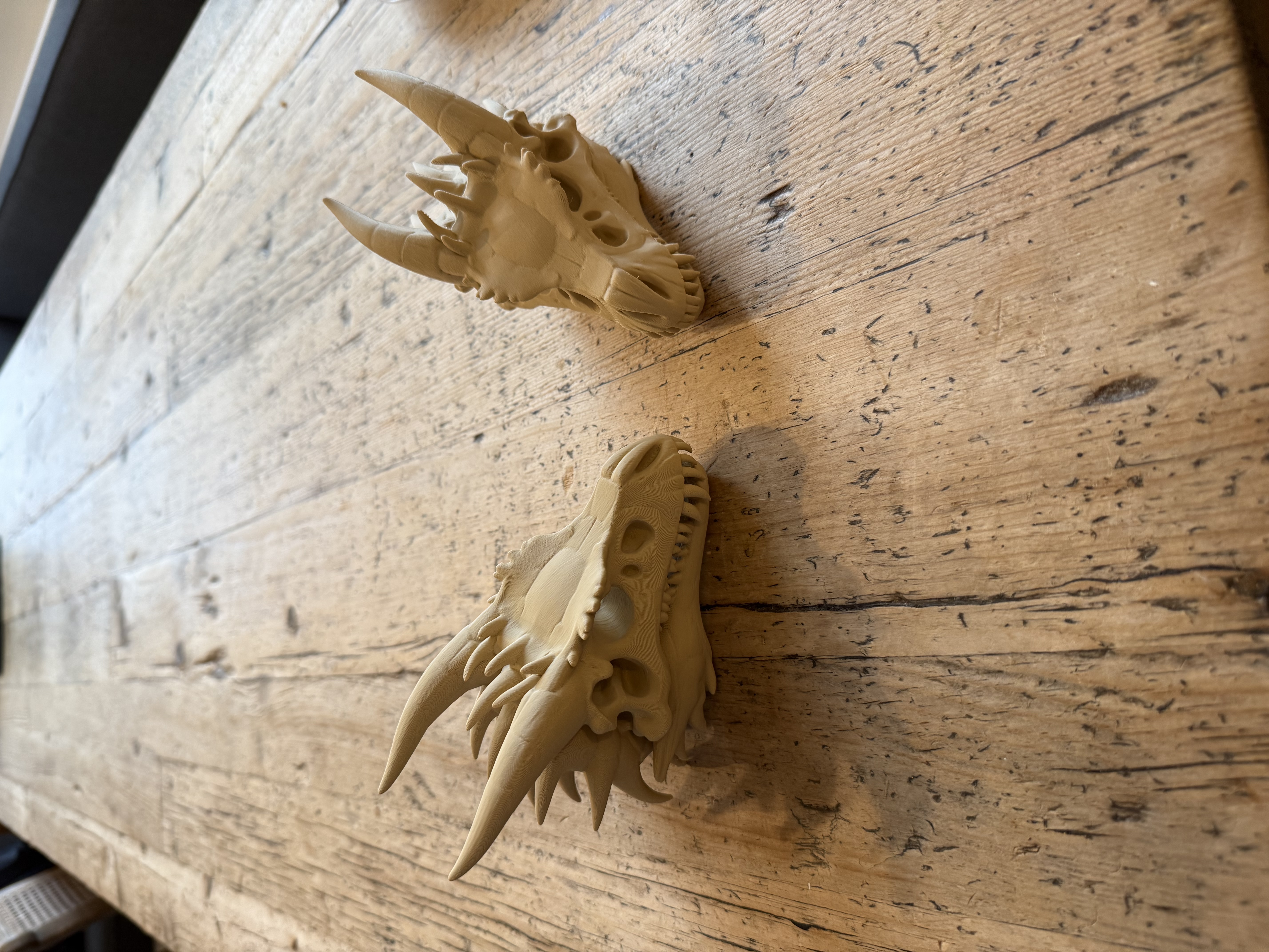 3D printed dragon skulls in tan